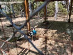 -长白岛森林公园