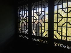 -舒羽咖啡(运河店)