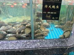 -渔码头食府(蓬莱阁店)