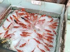 -秦美花卉(天朗·莱茵小城2期店)