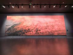 -罗红摄影艺术馆