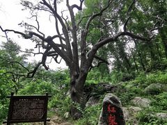 -北京密云天门山风景区