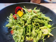 -雀舞云南菜(乐客城店)