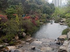 -桃花岭景区