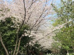 -杭州城北体育公园