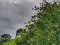 -大水川景区