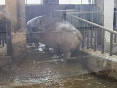 -保定市动物园