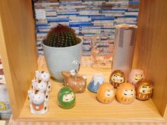 -猫的天空之城概念书店(丽江古城饮玉巷店)
