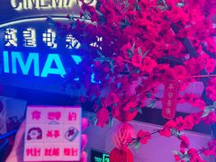 -英皇电影城(英皇集团中心IMAX店)