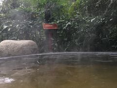 -青城道汤池