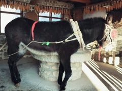 -葫芦古镇关东民俗雪乡
