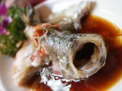 清蒸桂鱼-三色堇(小通巷店)