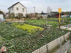 -小鱼草莓采摘园农家乐·小鱼餐厅