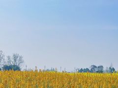 -中国天府农业博览园