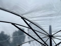 -星城之眼摩天轮