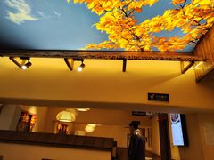 -衡厨(中南店)