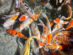 -海合安青岛极地海洋公园
