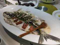 -虎哥私房菜(馒头山店)