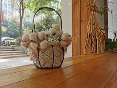 -COTTON CAFE(德信·中外公寓店)