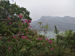 -羚羊峡古栈道森林公园