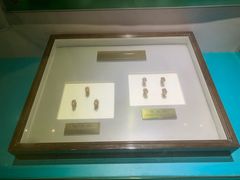 -上海昆虫博物馆