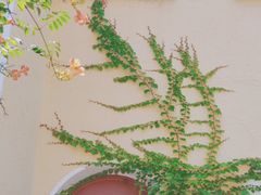 -德国监狱旧址博物馆