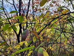 -野三坡百草畔景区