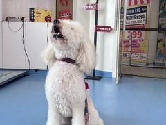 -全心全意动物诊疗中心医院(北苑店)