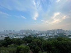 -四望岗公园