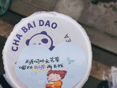 -茶百道(玉林店)