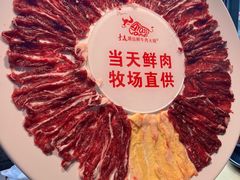 -手选潮汕鲜牛肉火锅(二七广场店)