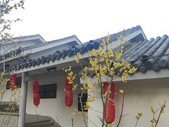 -无锡梅园公园