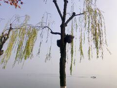 -东湖生态旅游风景区