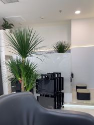-HaLo hair studio