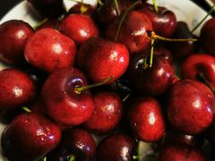 -沈阳市八家子水果批发市场