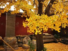 -北京石刻艺术博物馆(五塔寺)