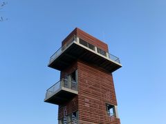 -春花秋色城市公园