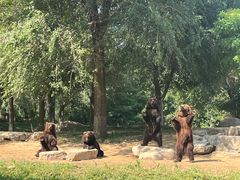 -北京野生动物园