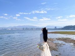 -洱海月湿地公园