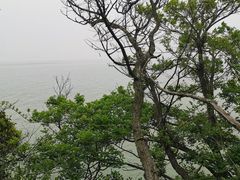 -巢湖姥山岛