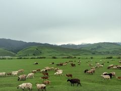 -新疆那拉提国家旅游度假区