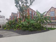 -悦见花开·花园里的火锅·露营·下午茶