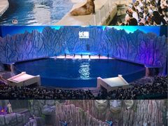 -珠海长隆海洋王国