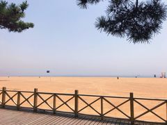 -87号烧烤海鲜·大排档(金沙滩店)