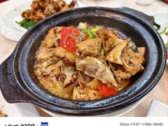 -陈记粤湛鸡饭店