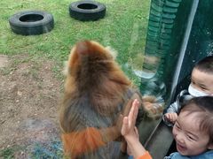 -西安秦岭野生动物园