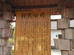 太湖迷笛营-苏州太湖迷笛