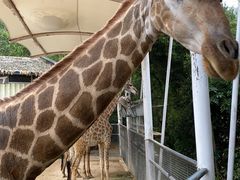 -泉州海丝野生动物世界