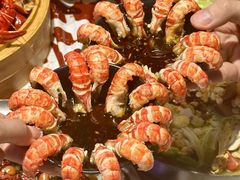 -靓靓蒸虾·头牌蒸虾(雪松路总店)