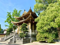 -上海东林寺(金山区)